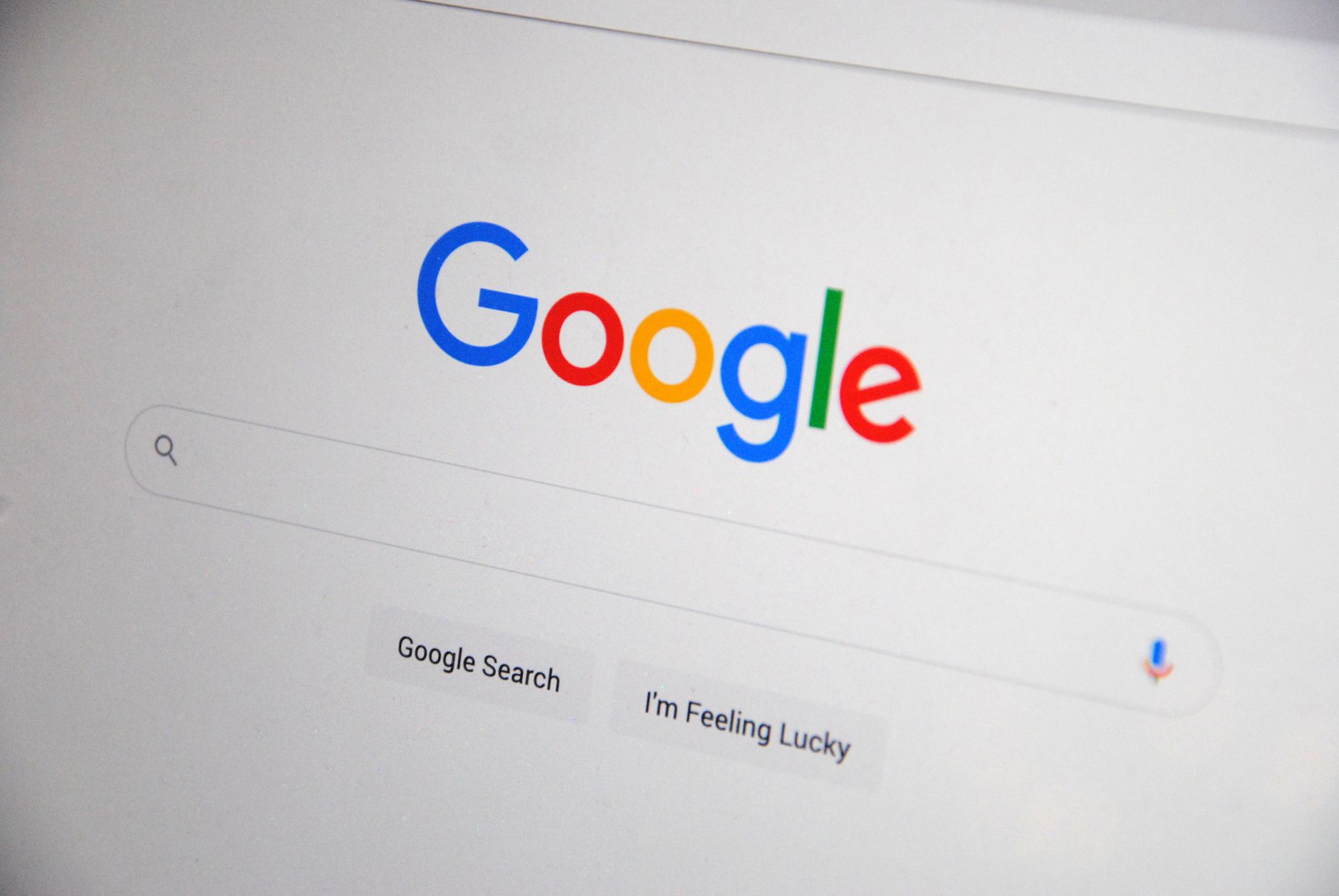 Clean digital navigation and search experience